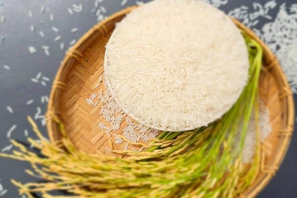 柬埔寨SKO-01香米荣获第二届中国-东盟优质籼稻品种食味品质鉴评金奖