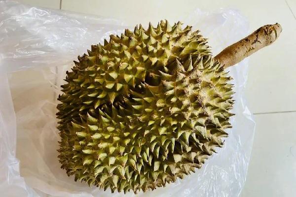 柬埔寨政府加强榴莲进口监管