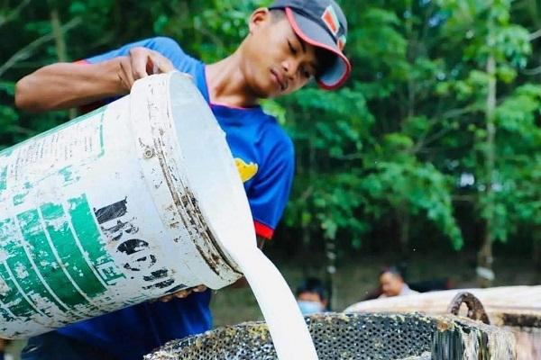 橡胶出口强劲增长，前四月创收逾1.49亿美元