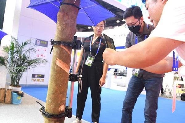 中柬橡胶生产基地在广西南宁正式启动