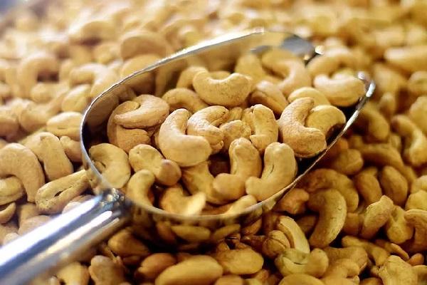 柬埔寨有望成为全球腰果生产大国