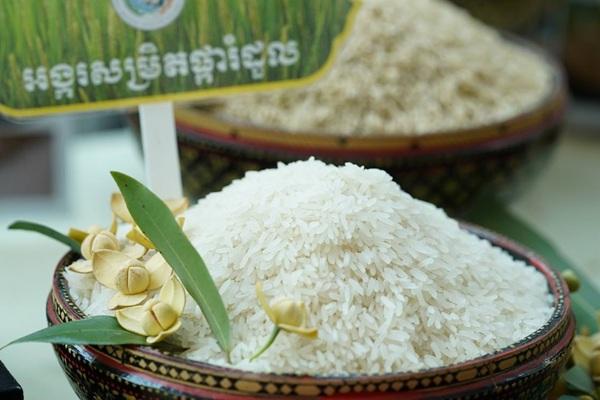 柬埔寨前7月出口42万吨大米创收超3亿美元