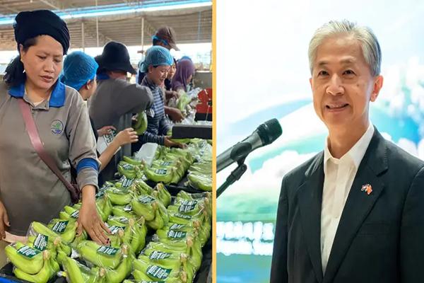 柬埔寨16种农产品获准出口中国