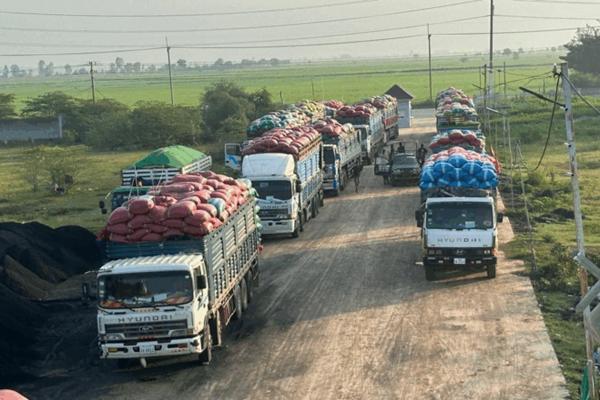 柬埔寨政府紧急干预稻米市场稳定农产品价格