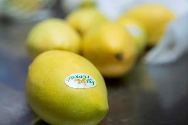 柬13类农产品享免税优惠政策