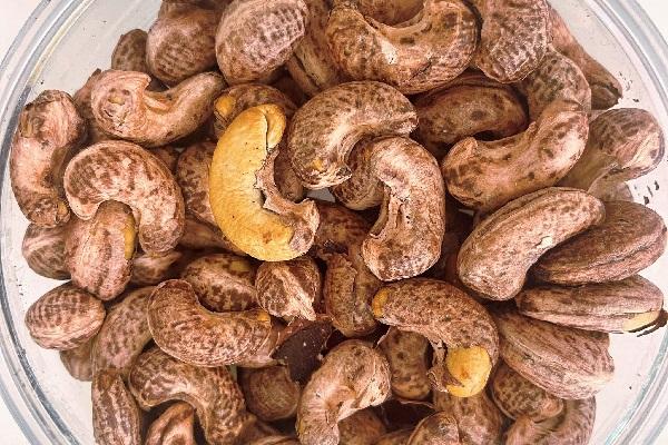 2025年柬埔寨腰果产量突破百万吨大关