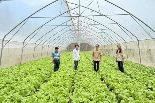 联合国持续支持柬埔寨粮食安全与农业发展战略