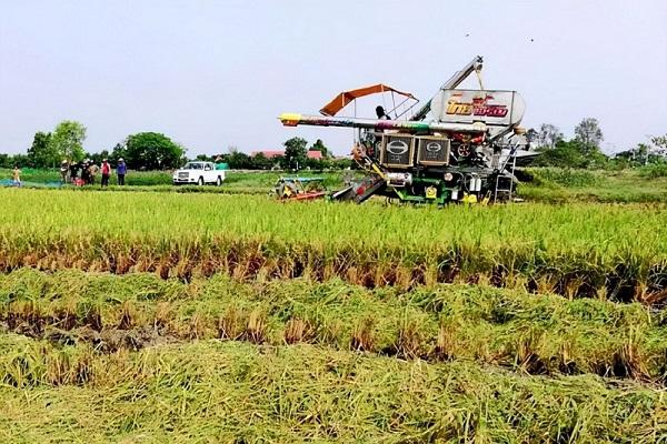 中国与柬埔寨农业经贸合作前景展望