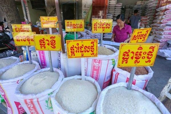 柬埔寨已完全具备国家粮食安全保障能力