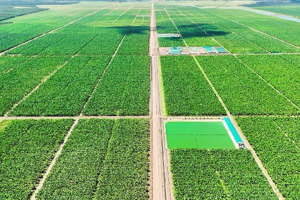 越南长海集团发债融资，布局柬埔寨经济特许地开发