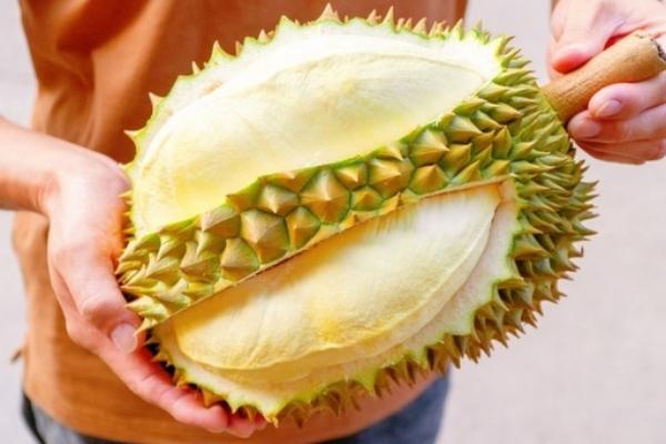 磅湛省推进成东榴莲打造专属原产地标识