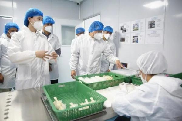 柬埔寨农林渔业部实地考察本土燕窝企业